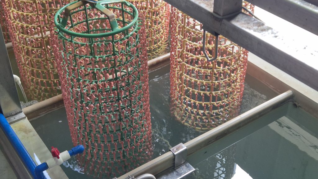 Racks with hardware ready to sink in pool